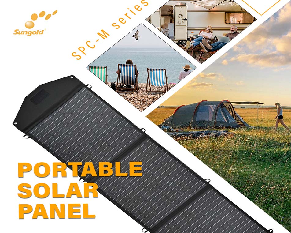 Everything You Need to Know About Starting a Solar Panel Wholesale Business